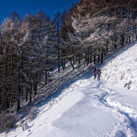 Drumetii prin padure Drumetii prin padure