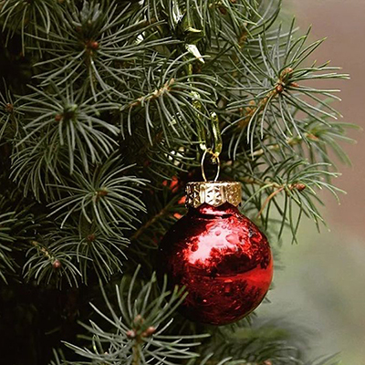 Sarbatori de iarna la Pensiunea Boema