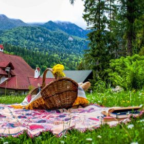 Pensiunea Boema la iarba verde Pensiunea Boema la iarba verde