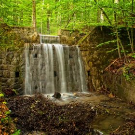 Drumetie prin padure si aer curat Drumetie prin padure si aer curat