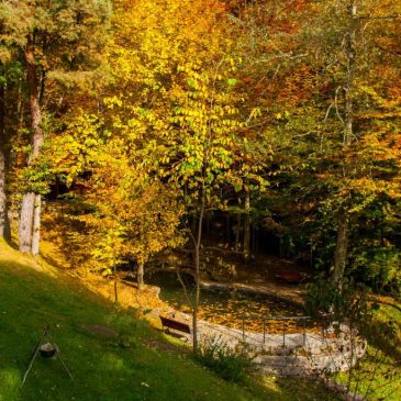 Pensiunea Boema drumetie si aer curat