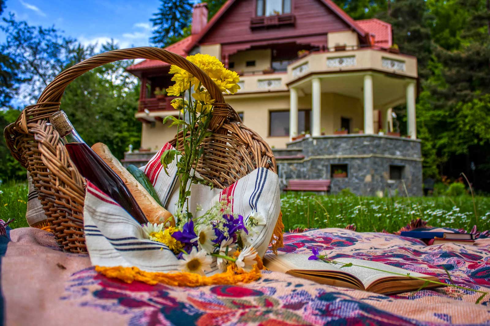 Pensiunea Boema in liniste cu o carte Pensiunea Boema in liniste cu o carte