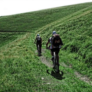 Bucura-te de aer curat intr-o plimbare cu bicicleta