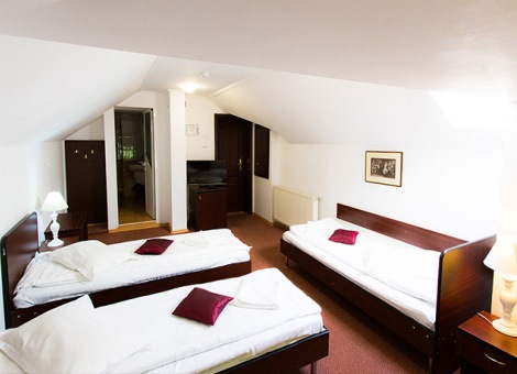 Pensiunea Boema - camera tripla Pensiunea Boema - camera tripla